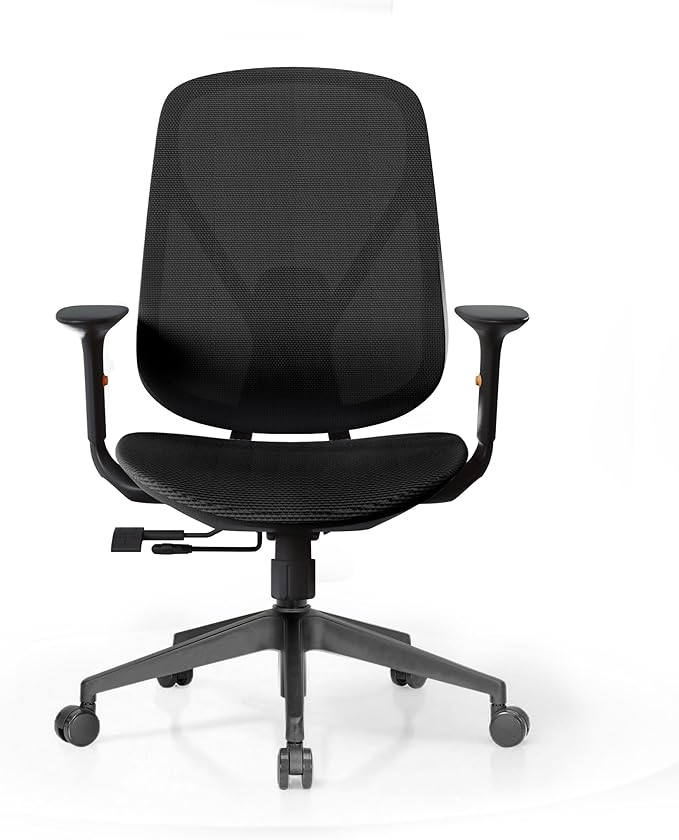 Mesh Office Chair – Ergonomic Office Chair with Lumbar Support, Adjustable Armrests & Sliding Soft Seat Cushion – Holds Up to 270lbs (Black)