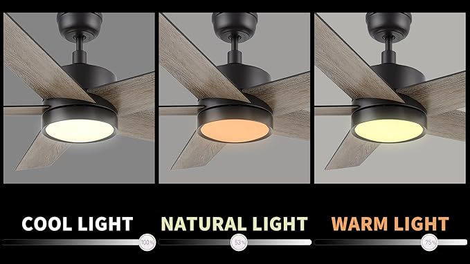 CEME 52 Inch Flush Mount Ceiling Fan with Lights, 3 Light Colors Dimmable Ceiling Fan Low Profile, Reversible 10 Speeds DC Motor, Black