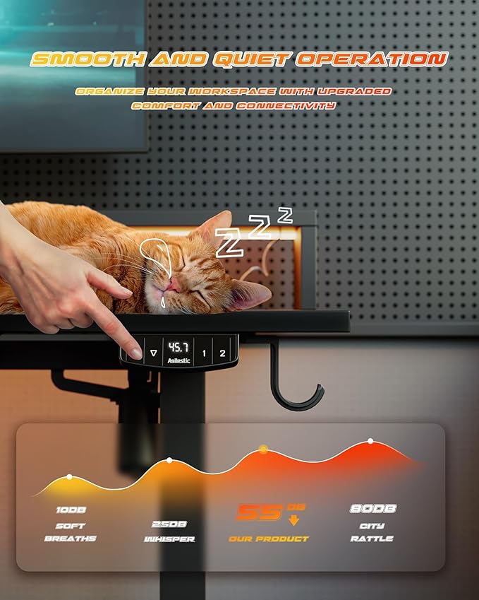 Electric Height Adjustable Standing Desk with Power Outlet and LED Light Strip, Sit to Stand, Ergonomic 48x24" Rising Desk with Memory Presets, Home Office Workstation, Computer Gaming Table, Black