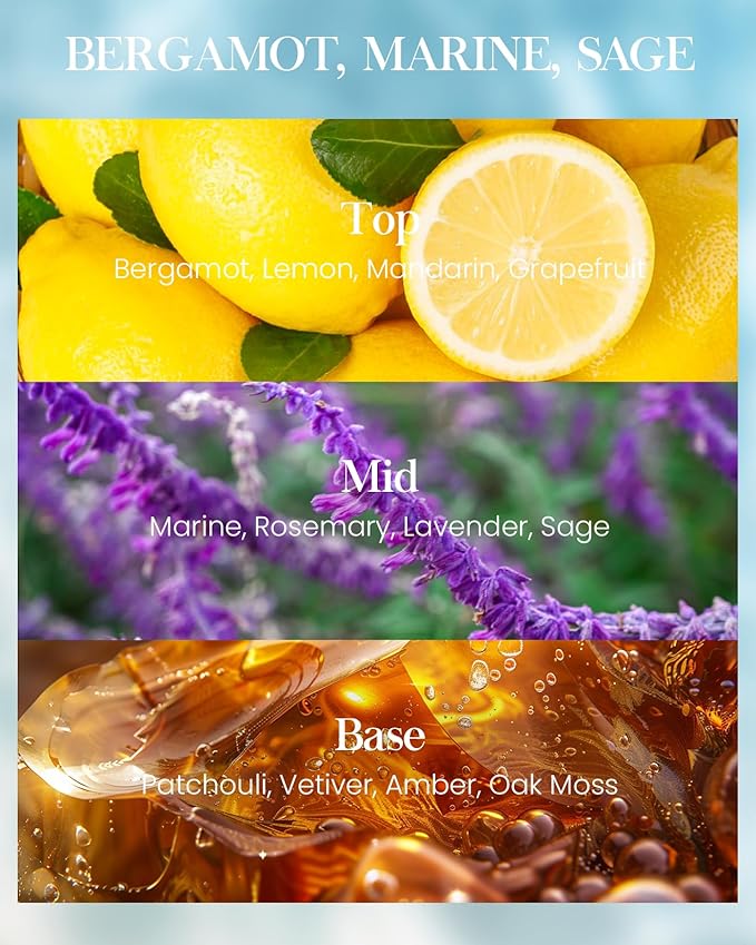 M&SENSE Ocean Waters Scented Candles Large Beach Candle, Summer Soy Candles 21.2oz 120 Hour Slow Burning,Aromatherapy Candle for Stress Relief Meditation Relaxing