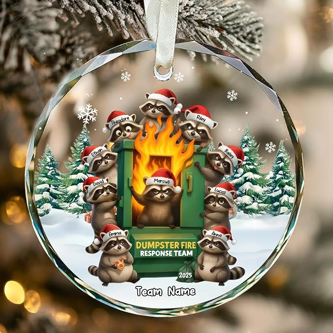 NAZENTI Personalized Funny Raccoon Chaos Response Ornament, Custom Flaming Bin Holiday Decoration, Coworker Christmas Glass Hanging Gift