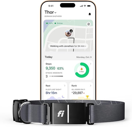 Fi New Series 3+ Smart Dog Tracker Collar [12 Month Membership Included] GPS Tracker for Dogs with Health & Behavior Monitoring, Escape Alerts, Waterproof, LED, Apple Watch Compatible (Gray, X-Small)