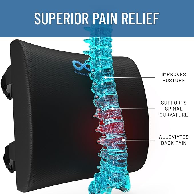 Everlasting Comfort Lumbar Support Pillow for Office Chair - Memory Foam Back Cushion for Car Seat - Promotes Better Posture, Back Pain Relief - Ideal Gaming and Desk Chairs Work and Home Essentials