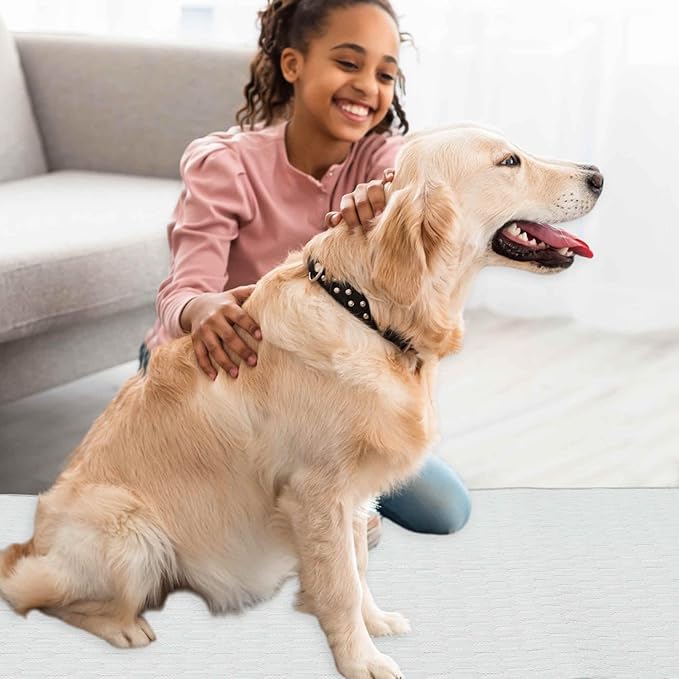 Dog Cooling Mat, Durable Machine Washable Pets Cool Pad, Large, Grey
