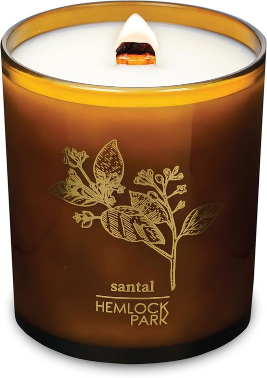 Hemlock Park Amber & Gold Wood Wick Candle Handcrafted with Natural Coconut Wax (Large 14 oz, Santal)
