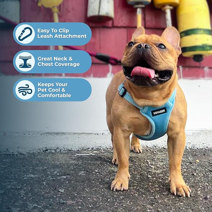 Best Pet Supplies Voyager Adjustable Dog Harness Leash Set with Reflective Stripes for Walking Heavy-Duty Full Body No Pull Vest with Leash D-Ring, Breathable All-Weather - Baby Blue, M