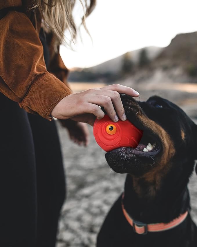 Giggle Ball for Dogs Interactive Dog Toys for Pet Ball Medium Large Dogs Gift for Dog Natural Rubber Cute Owl Hoot (Red Owl)