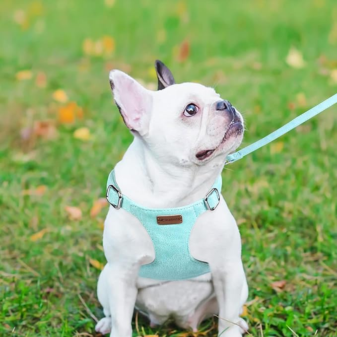 Dog Harness and Leash Set, XXS No Pull Adjustable Puppy Harness with Multifunction Pink Dog Leash and Dog Collar, Soft No Choke Escape Proof Pet Harness Vest for Small Dogs and Cats (Mint Green, S)