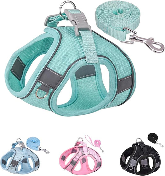 Solmoony No Pull Dog Harness - Step In, Mesh, for Small to Large Dogs (Green, XXS) with Leash Set
