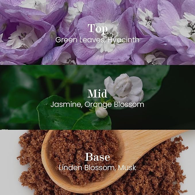 M&SENSE Natural Soy Candle| Bamboo Stream | 16.6 oz, 95H Burn | Minimalist Christmas Scented Candle for Relaxation, Gifting, Home Décor | for Bedroom, Office, Party Large