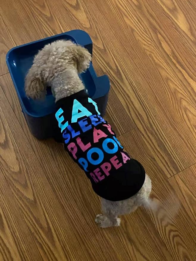 Automatic Dog Ball Launcher - Rechargeable Tennis Ball Thrower for Big/Medium-Sized Dogs - Remote Control - 3 Balls (2.5 inches) - Indoor/Outdoor Toy