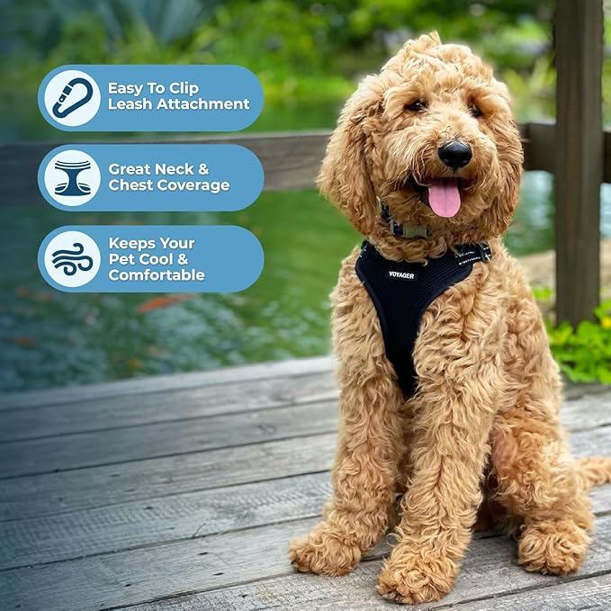 Best Pet Supplies Voyager Adjustable Dog Harness Leash Set with Reflective Stripes for Walking Heavy-Duty Full Body No Pull Vest with Leash D-Ring, Breathable All-Weather - Black, XS