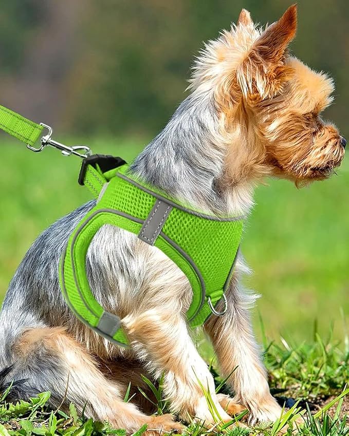 Joytale Small Dog Harness, Breathable Mesh Step-in Vest, Reflective Soft Padded Harnesses Small Sized Dog for Walking, Green, S
