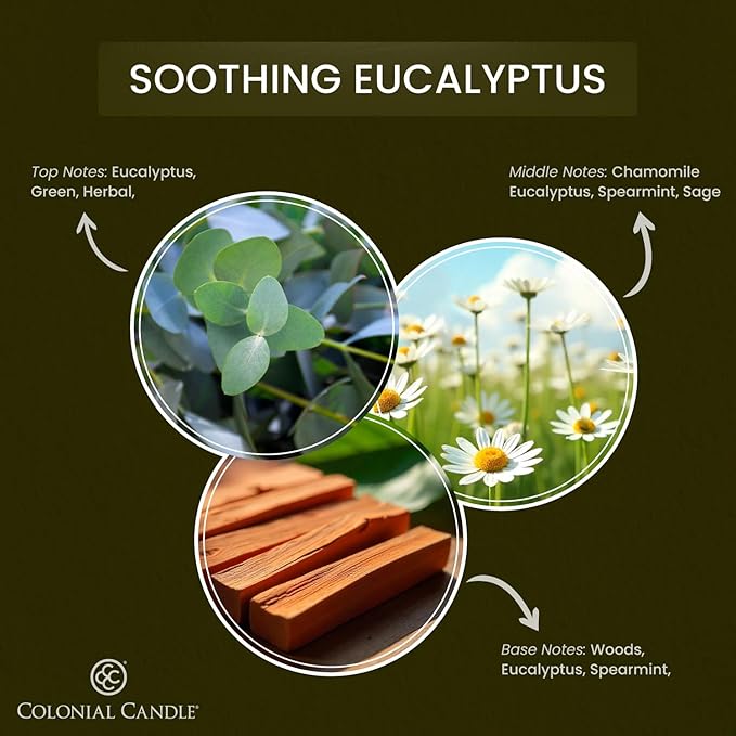 Colonial Candle Soothing Eucalyptus Scented Candle Jar, Highly Fragranced Candles for Home Scented, Mottled Wax Candle, 2 Wick, 8 oz - Made in The USA