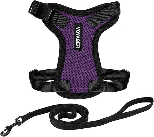 Voyager Step-in Lock Adjustable Cat Harness w. Cat Leash Combo Set with Neoprene Handle 5ft - Supports Small, Medium and Large Breed Cats by Best Pet Supplies - Purple/Black Trim, XXS