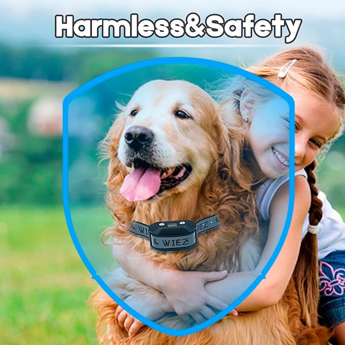 WIEZ GPS Wireless Dog Fence for Outdoor, Electric Dog Fence Collar with 3 Correction Mode, Pet Containment System for Most Dogs