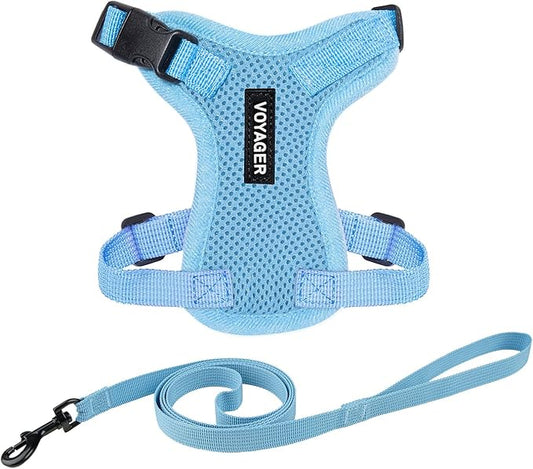 Voyager Step-in Lock Adjustable Cat Harness w. Cat Leash Combo Set with Neoprene Handle 5ft - Supports Small, Medium and Large Breed Cats by Best Pet Supplies - Baby Blue, XXS