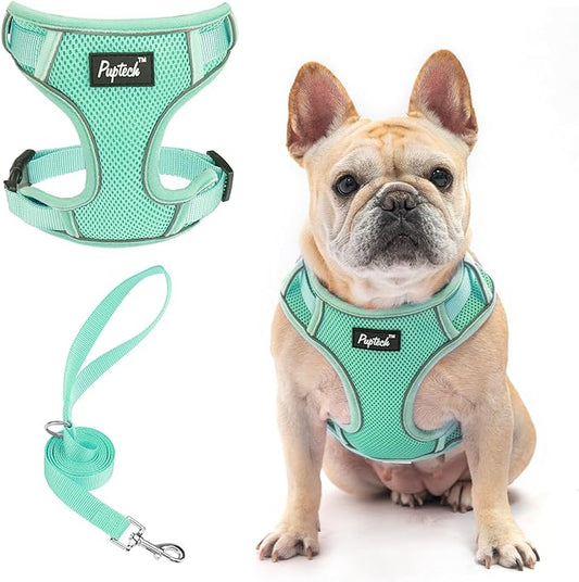 PUPTECK Small Dog Harness and Leash Set, No Pull Adjustable Puppy Cat Harness, Reflective Soft Mesh Pet Vest Medium Sized