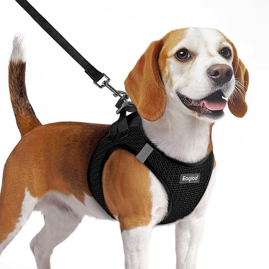 Eagloo Small Dog Harness and Leash Set, Step in Puppy Vest with Breathable Soft Mesh, Walking Reflective Pet Harness for Medium Small Dogs, Black, M