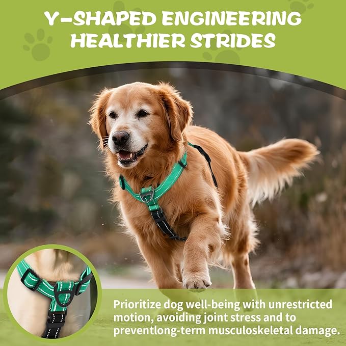 No-Pull Harness,Y-Shaped Design,Buckle-Neck Balance Harness with Reflective Stitching, Ideal for Dog Training and Night Walking, Padded Handle, Durable High-Tensile Nylon-Aqua Green-M