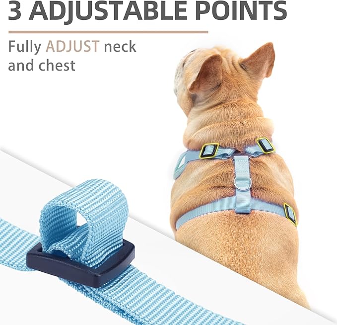 PUPTECK Small Dog Harness and Leash Set, No Pull Adjustable Puppy Cat Harness, Reflective Soft Mesh Pet Vest Small Sized