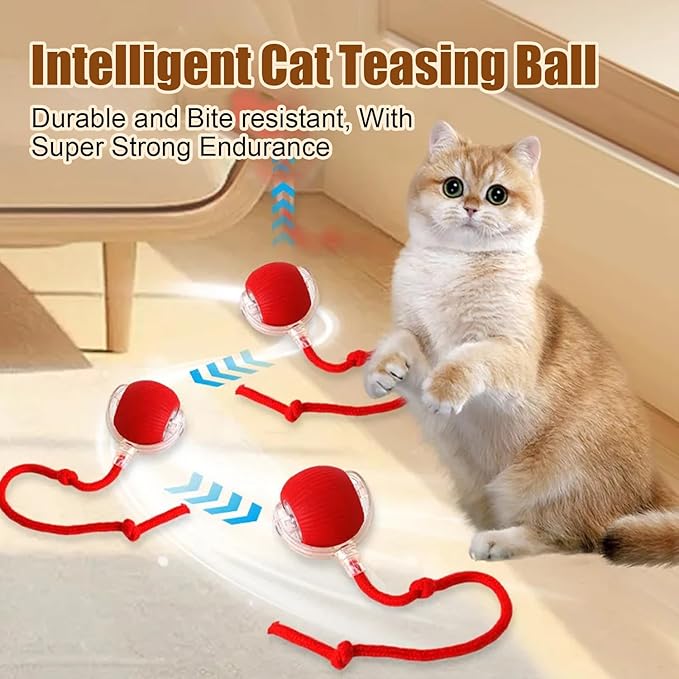 2PC Interactive Cat Toys,360 ° Fully Automatic Dogs & Cats Smart Rolling Ball,Durable and Rechargeable(Green+Red)