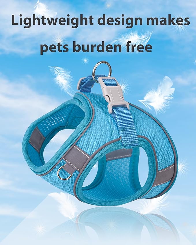 Dog Harness for Small Medium Sized Dog, Step in Puppy Harness and Leash Set Training Walking (Blue, XS)