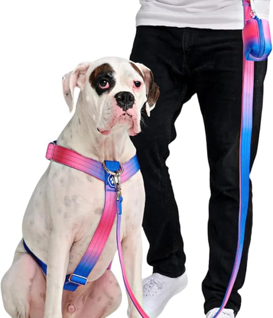 Spark Paws No Pull Dog Harness for Large Dogs, Heavy Duty Dog Harness for Big Strong Breeds, Adjustable, Y Shaped Padded Halter Design with Front Clip - Snow Cone - L