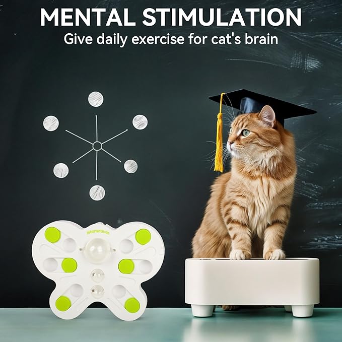 ALL FOR PAWS Interactive Cat Puzzle Feeder – Butterfly Shape Slow Feeder & Treat Dispenser – Enrichment Toy for Kittens & Indoor Cats