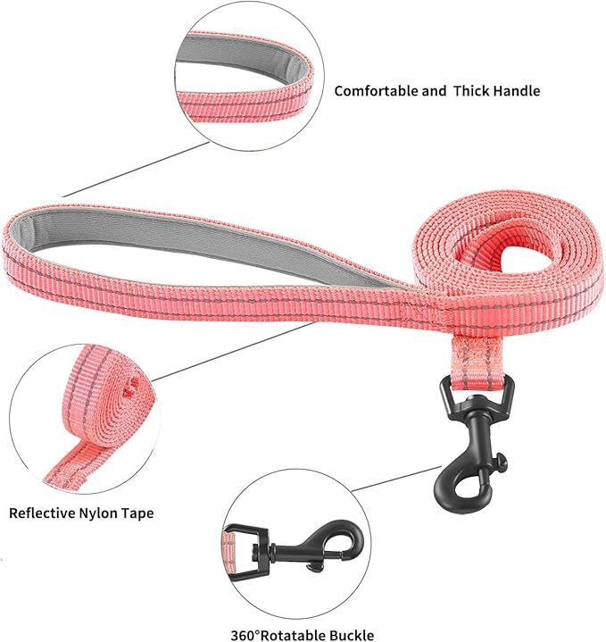 Dog Harness and Leash Set, No Pull Soft Mesh Puppy Harness for Small Medium Dogs, Cats - Step in Reflective Breathable Lightweight Vest Harness for Walking, Training - Pink, M