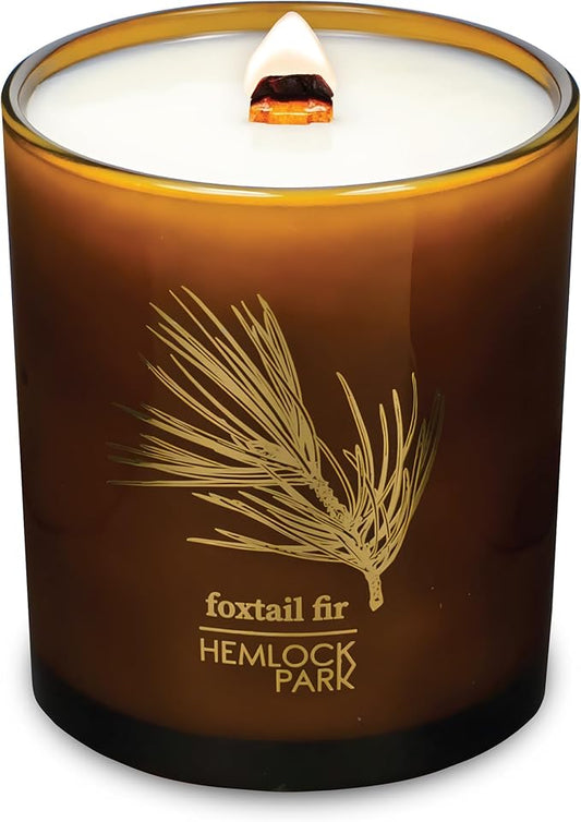 Hemlock Park Amber & Gold Wood Wick Candle Handcrafted with Natural Coconut Wax (Large 14 oz, Foxtail Fir)