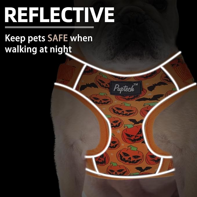 PUPTECK Small Dog Harness and Leash Set, No Pull Adjustable Puppy Cat Harness, Reflective Soft Mesh Pet Vest Small Sized