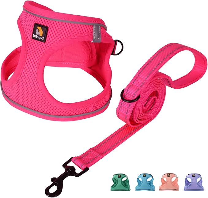 BELLA & PAL Step in Vest Harness for Small and Medium Dogs, No Pull Small Dog Harness with Leash Set, Comfortable Air Mesh Dog Vest Harness with Reflective Strip (Hot Pink, M)