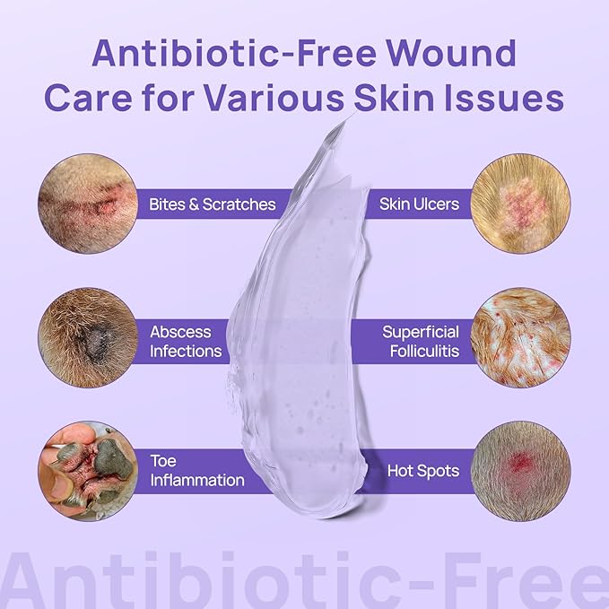 HICC PET Dog Wound Care Hydro Gel, Heals Wounds, Hot Spot Treatment for Dogs, Soothes Inflammation, Prevents Infection, Treats Bites, Scratches & Skin Ulcers, Cat Wound Care Solution, 2 Packs