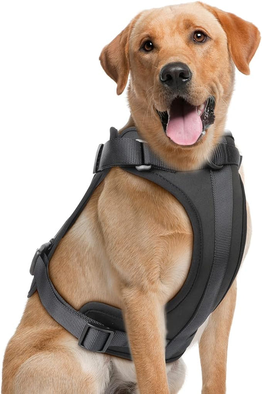 No Pull Lightweight Dog Harness: Adjustable Durable Breathable Mesh Pet Vest Harness with Soft & Comfortable Cushion, for Small Medium Large Dogs (L, Black)