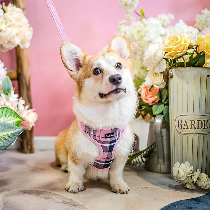 SCENEREAL Puppy Dog Harness with Leash Set for Small Medium Sized Dogs, Soft Mesh Step in Pet Harnesses and Leash, No Chock Plaid Adjustible No Pull Vest for Dogs Cats, Chihuahua,Bulldog (Pink S)