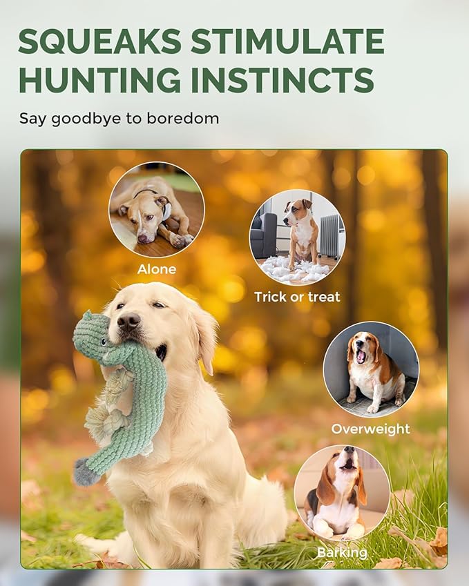 Squeaky Dog Toys for Medium Dogs - Durable Dog Toys for Aggressive Chewers to Keep Them Busy - Interactive Plush Chew Toy with Squeaker for Training Reward & Gift - Green