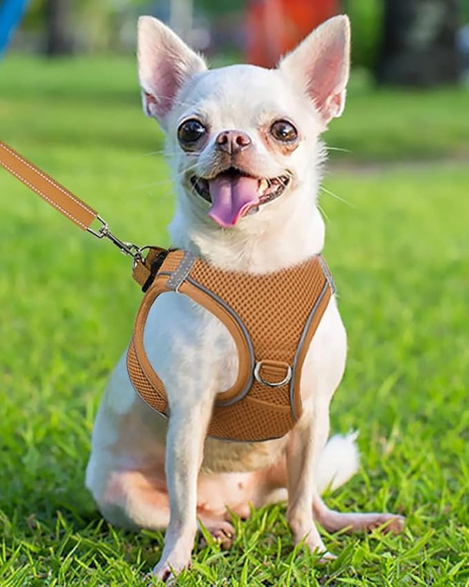 Joytale Small Dog Harness, Breathable Mesh Step-in Vest, Reflective Soft Padded Harnesses for Puppies and Extra Small Dogs, Brown, XS