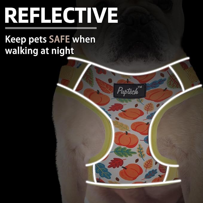 PUPTECK Small Dog Harness and Leash Set, No Pull Adjustable Puppy Cat Harness, Reflective Soft Mesh Pet Vest Small Sized