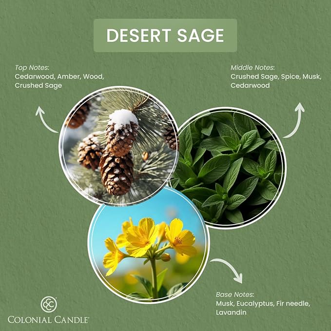 Colonial Candle Desert Sage Scented Jar Candle, Pop of Color Collection, 3 Wick, 14.5 oz - Up to 60 Hours Burn