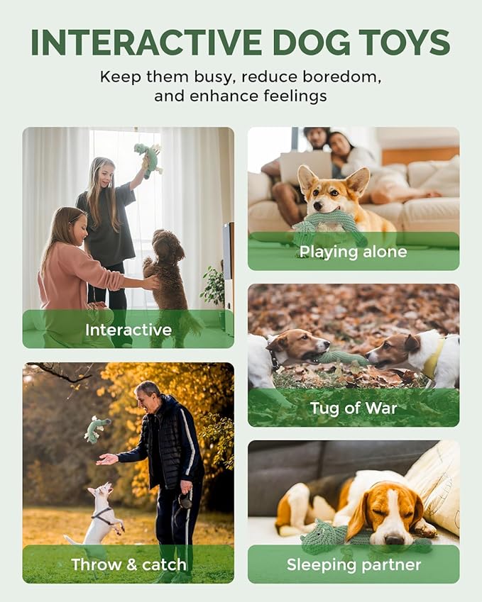 Squeaky Dog Toys for Medium Dogs - Durable Dog Toys for Aggressive Chewers to Keep Them Busy - Interactive Plush Chew Toy with Squeaker for Training Reward & Gift - Green