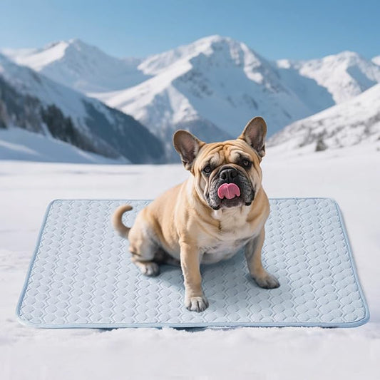 Soulbond Cooling Mat for Large Dogs - 29"x40" Washable Cooling Pad for Dogs & Cats, QMAX>0.3, Anti-Slip Bottom, Portable Summer Cool Pet Bed Pad for Outdoor/Indoor/Cars/Travel Use, Light Blue