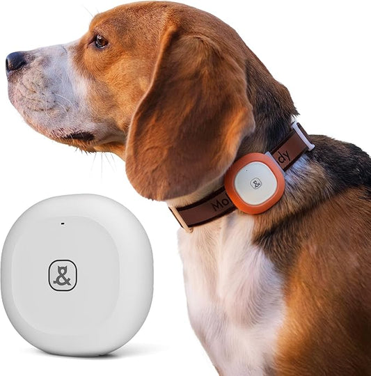 Molly&Cody GPS Dog/Cat Tracker, Multi-Mode GPS/Bluetooth, Real-Time Tracking for Pet Collar with Virtual Fence, Long Battery, IP67 Waterproof, Health Monitor, 1-Year Record, iOS/Android App (White)