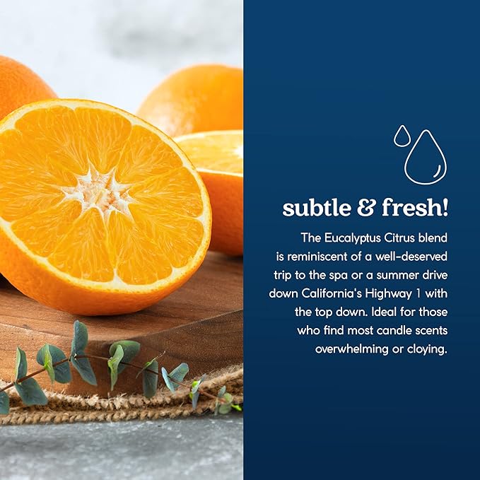 GoodLight Paraffin-Free Scented Candle, Clean Burning Non-Toxic Tin Candles, Eucalyptus Essential Oil Scented Travel Candle 6oz