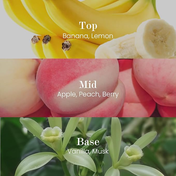 M&SENSE Natural Soy Candle| Foamy Bath | 16.6 oz, 95H Burn | Minimalist Christmas Scented Candle for Relaxation, Gifting, Home Décor | for Bedroom, Office, Party Large