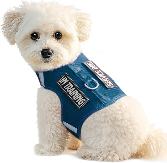 Dog Harness for Puppy – Adjustable Reflective Easy Put On Soft Mesh Vest for Small Dogs with 2 Patches (Prussian Blue,XS)