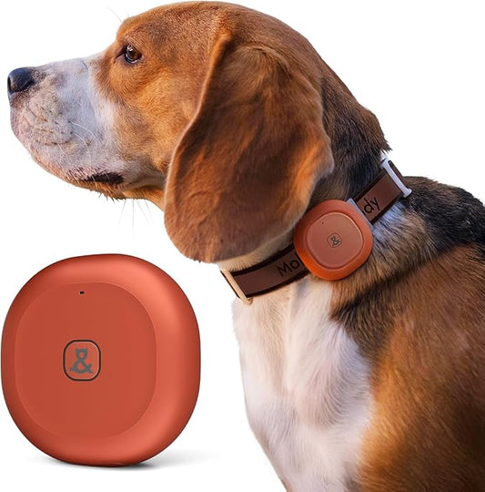 Molly&Cody GPS Dog/Cat Tracker, Multi-Mode GPS/Bluetooth, Real-Time Tracking for Pet Collar with Virtual Fence, Long Battery, IP67 Waterproof, Health Monitor, 1-Year Record, iOS/Android App (Red)