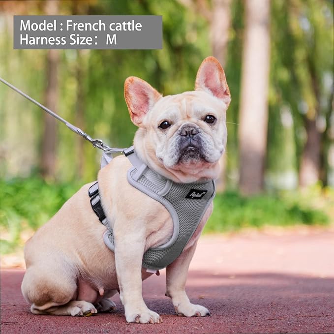 PUPTECK Small Dog Harness and Leash Set, No Pull Adjustable Puppy Cat Harness, Reflective Soft Mesh Pet Vest Medium Sized