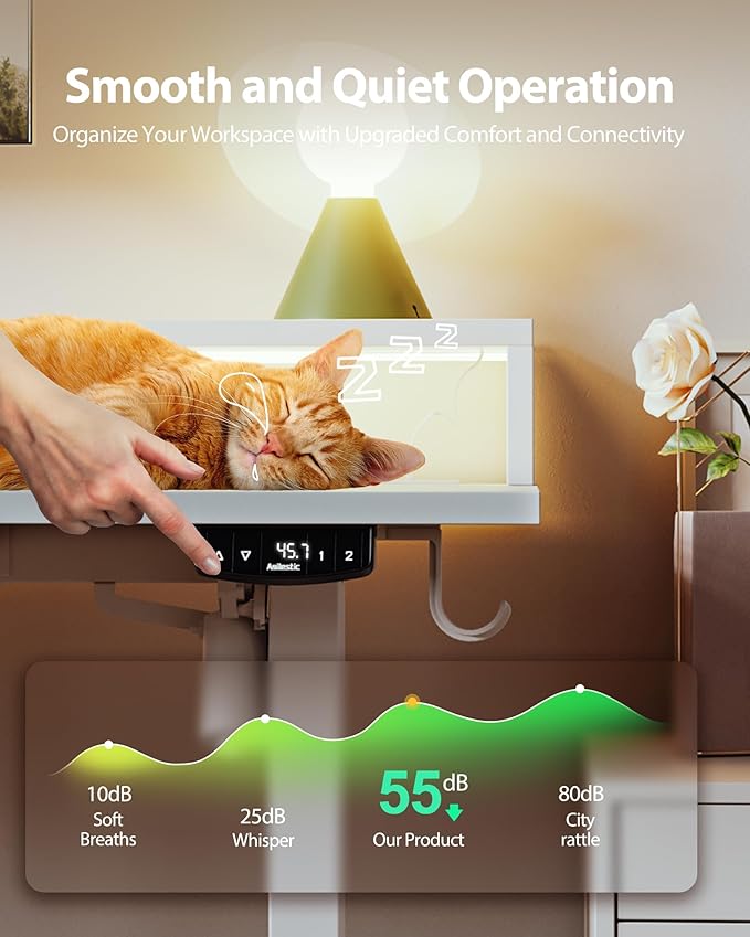 Electric Height Adjustable Standing Desk with Power Outlet and LED Light Strip, Sit to Stand, Ergonomic 48x24" Rising Desk with Memory Presets, Home Office Workstation, Computer Gaming Table, White