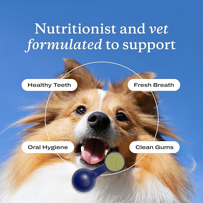 PetLab Co. ProBright Dental Powder - Dog Breath Freshener - Teeth Cleaning Made Easy – Targets Tartar & Bad Breath - Formulated for Extra Small Dogs - Packaging May Vary